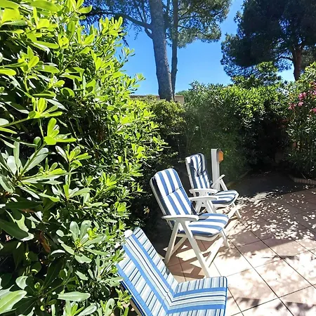 T2 En Pinede Avec Parking, Veranda Et Terrasse, A 900m De La Plage, Ideal Pour 4 Personnes - Fr-1-607-41 アパート *